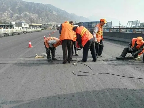 阳江道路桥梁病害治理